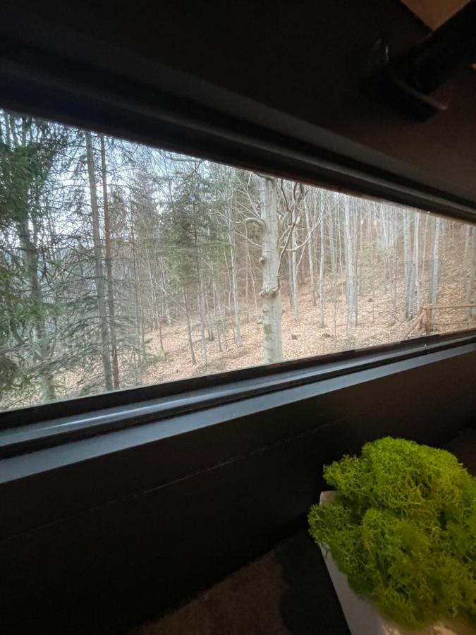 Chalet Na Drzewie Ceprowo *